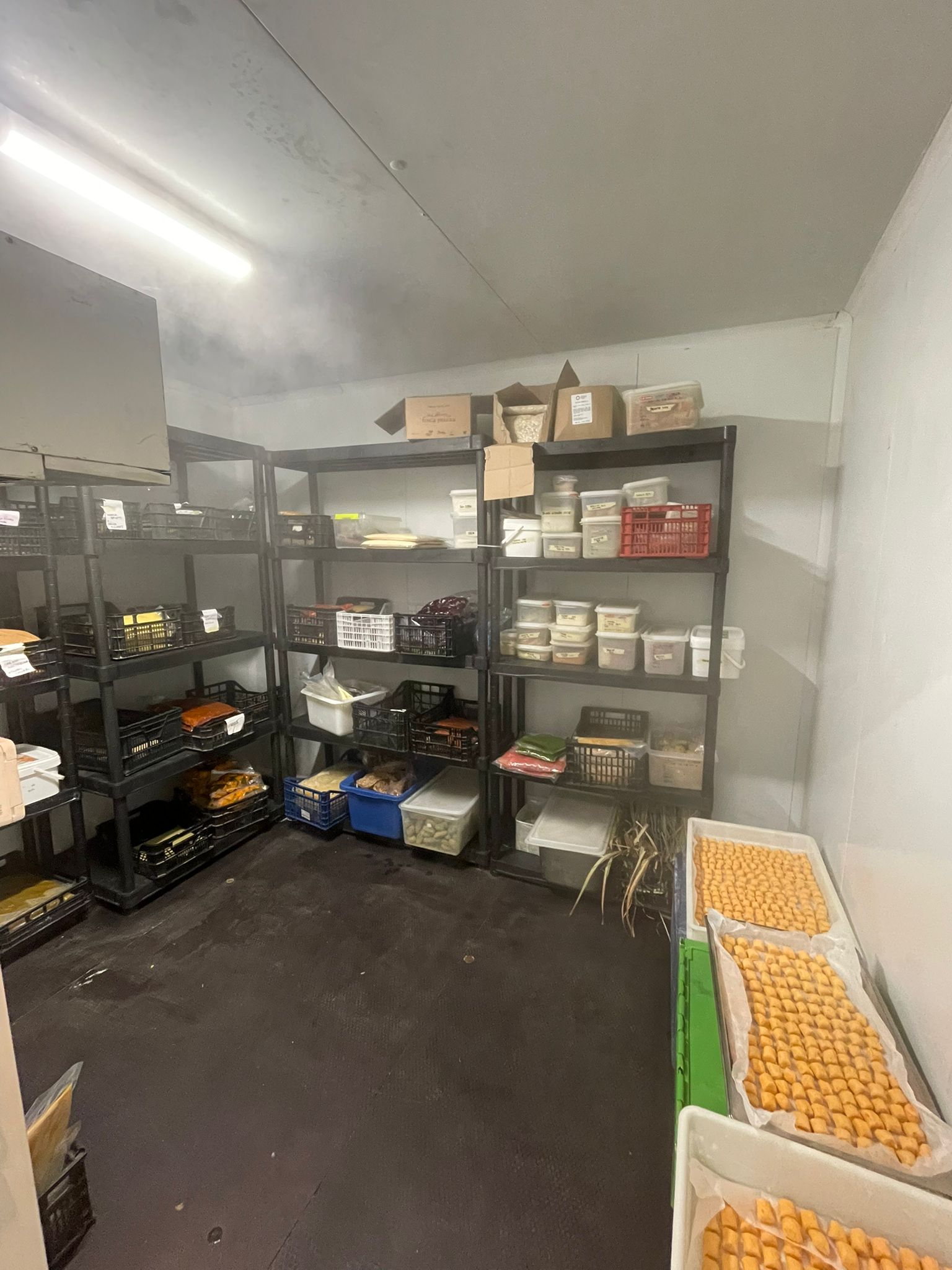 WhatsApp Image 2025 10 03 at 09.51.50