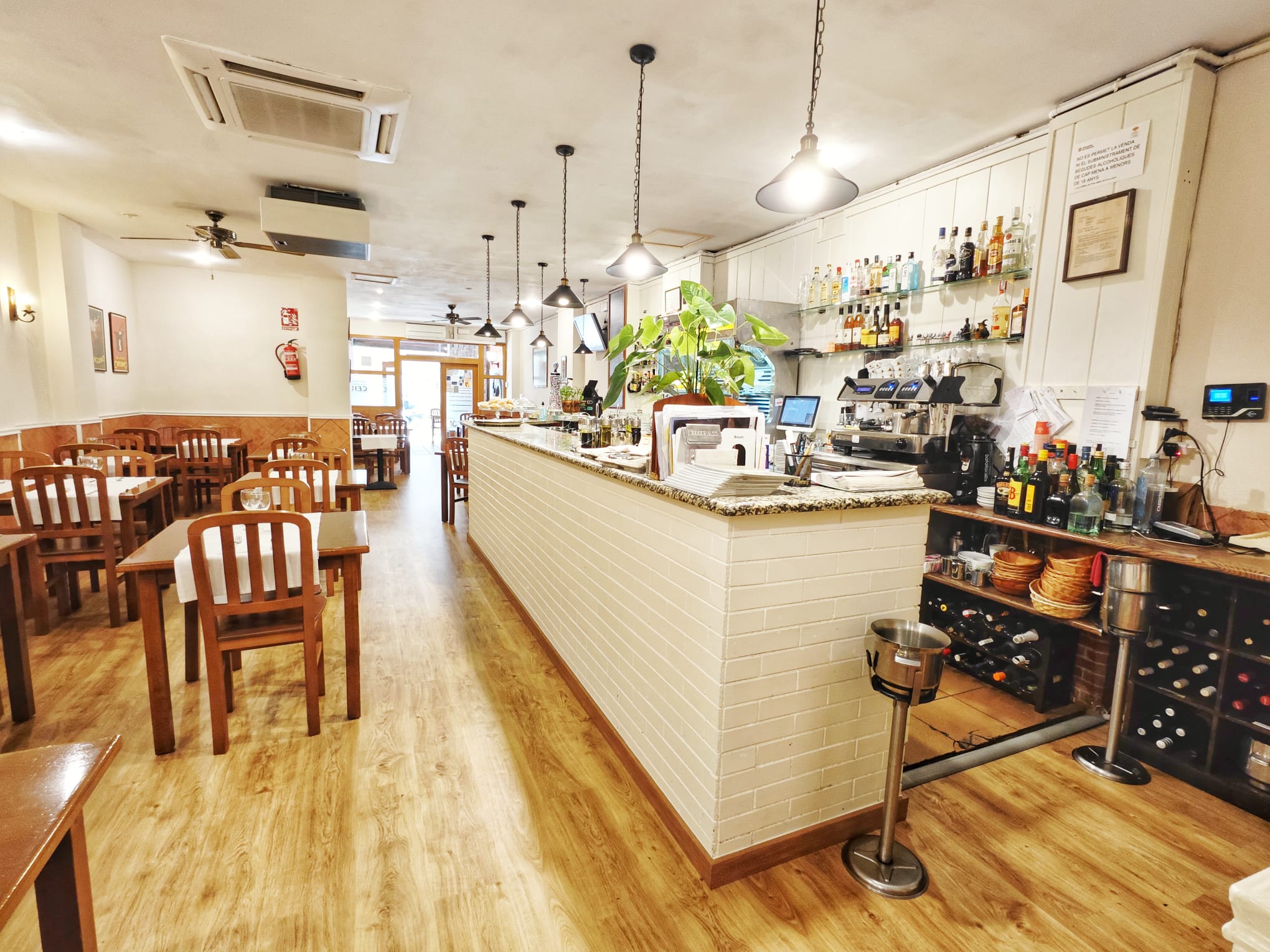 WhatsApp Image 2025 10 16 at 09.10.08