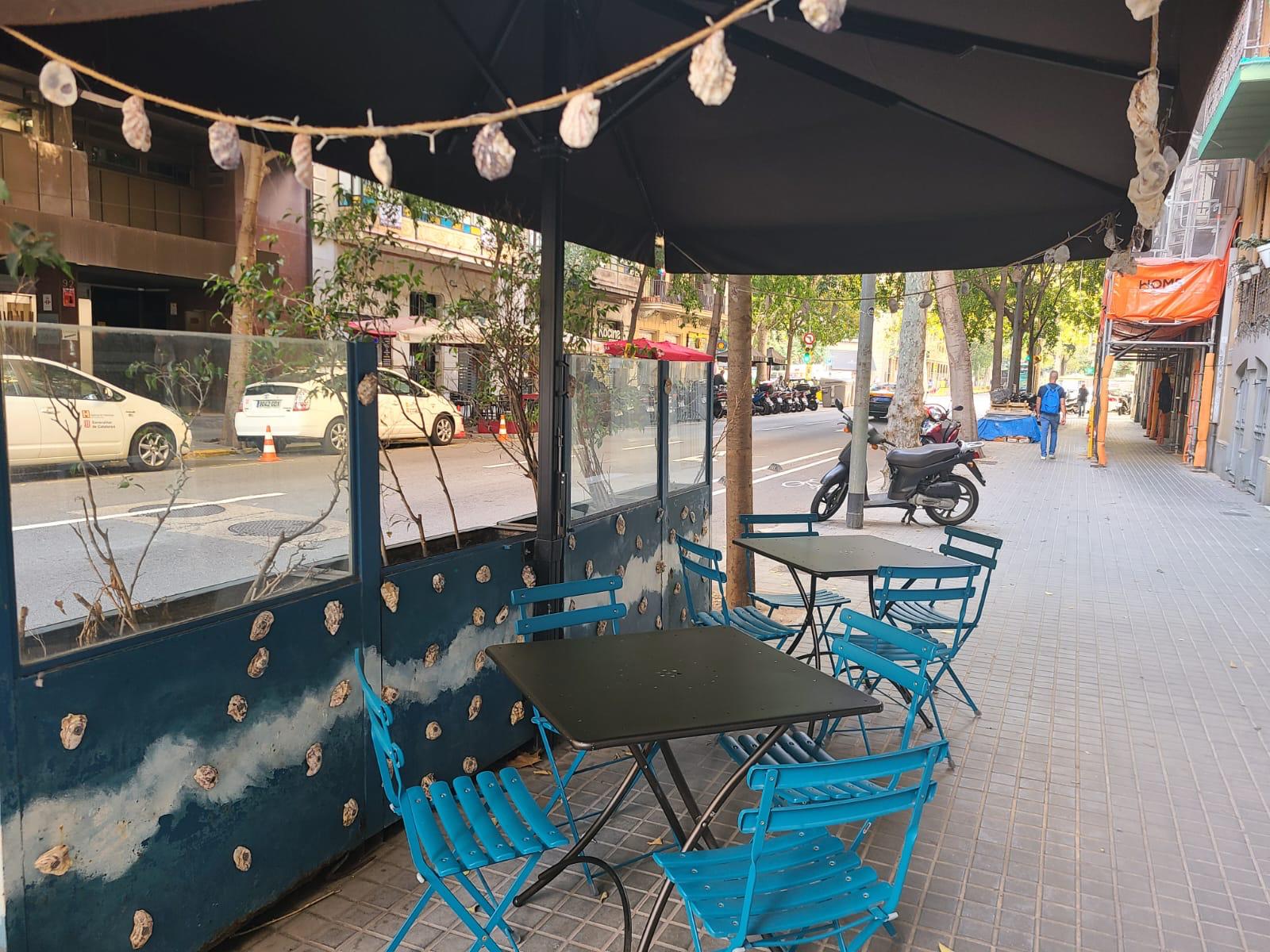 WhatsApp Image 2025 11 04 at 12.10.26 4