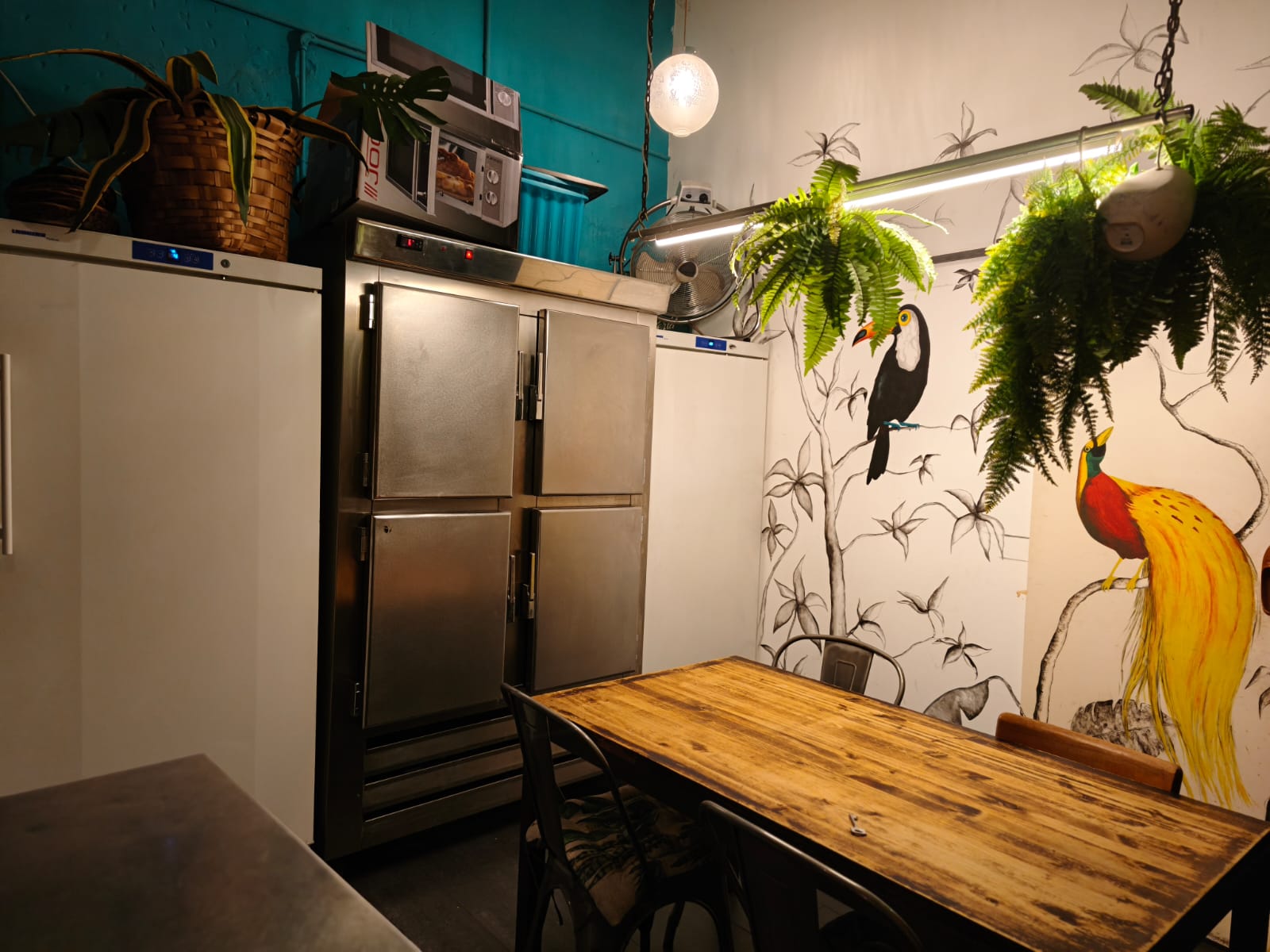 WhatsApp Image 2025 11 05 at 16.12.33