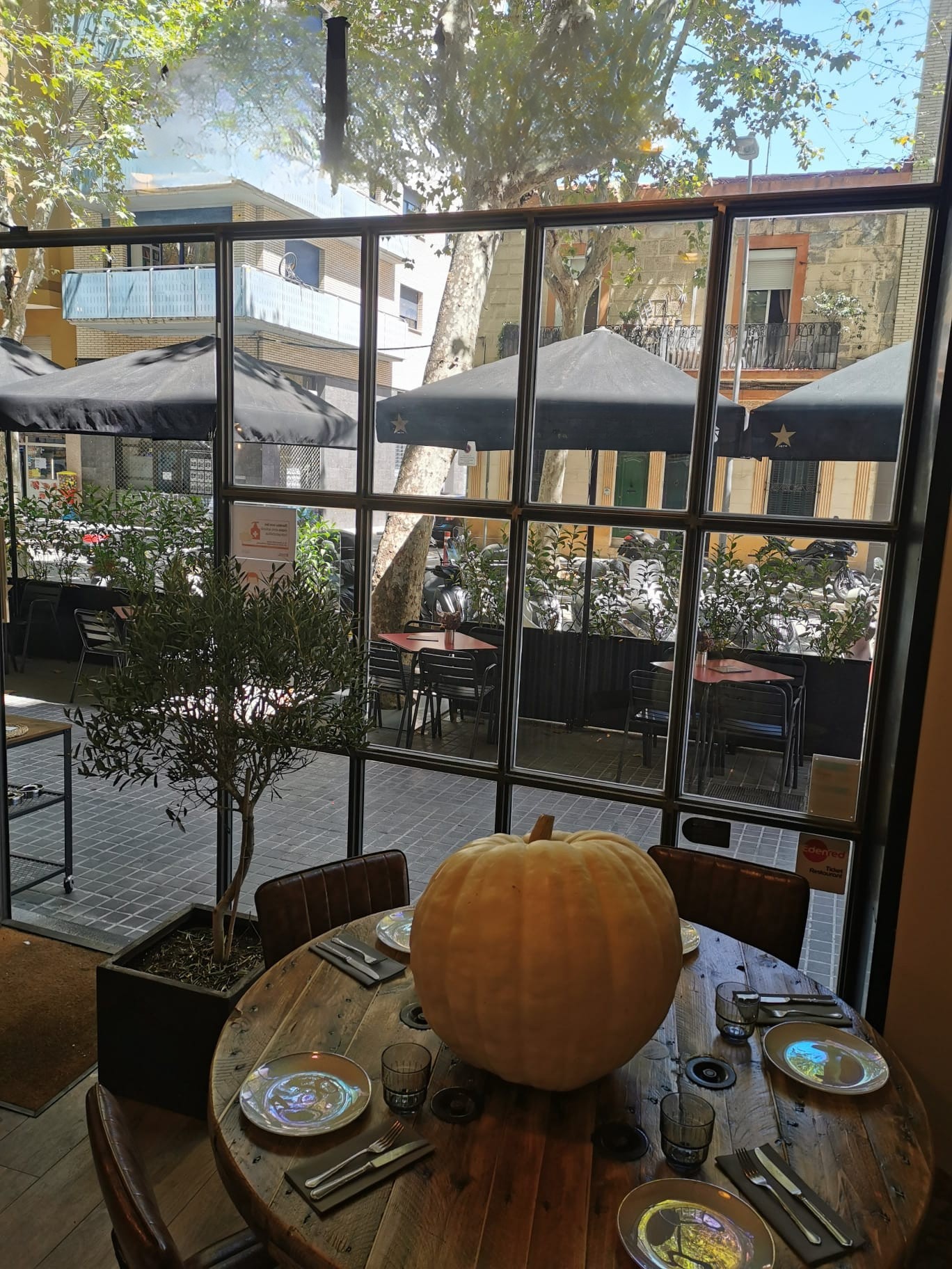 eef39932 62b4 41d9 8868 21236cbcba8a